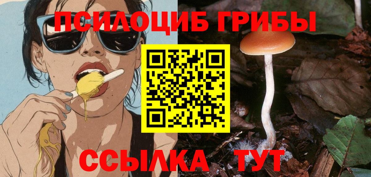 Псилоцибиновые грибы мицелий Озёрск